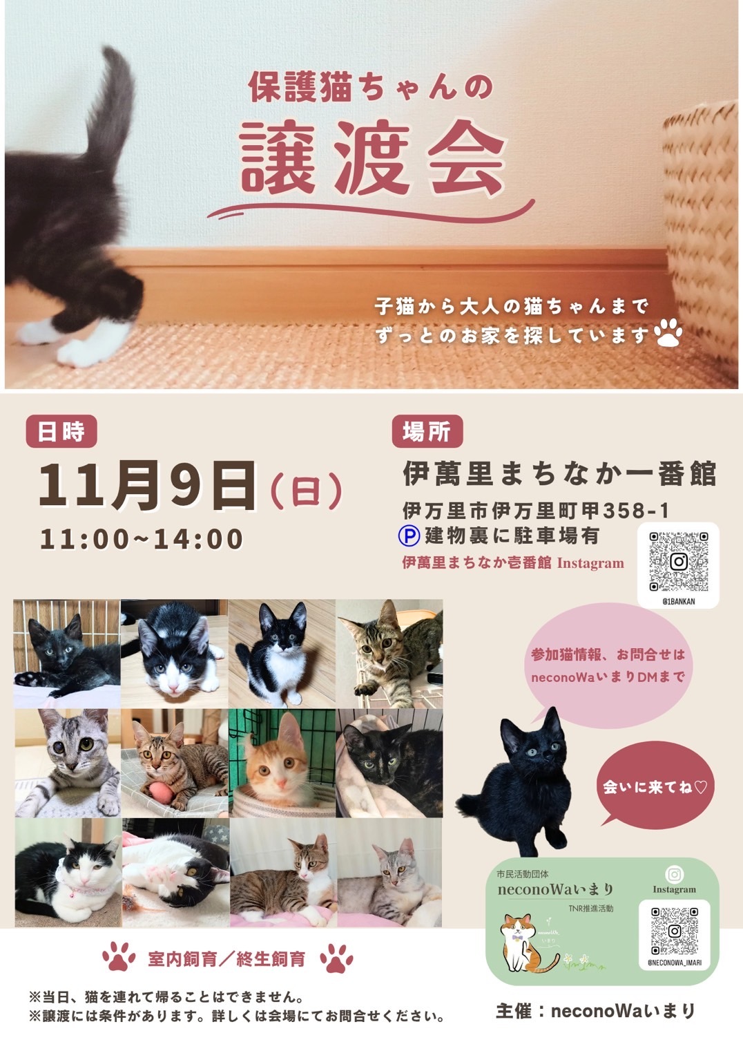 保護猫譲渡会案内チラシ